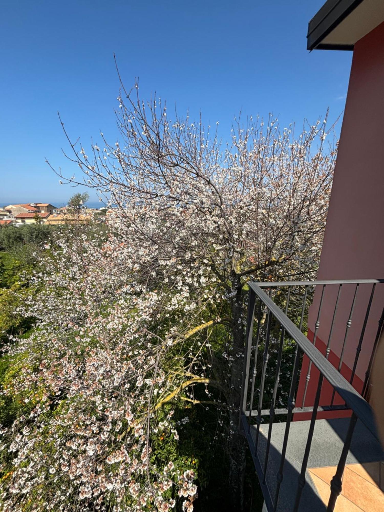 Intero Appartamento A Sant'Agnello , Le Ortensie Екстериор снимка